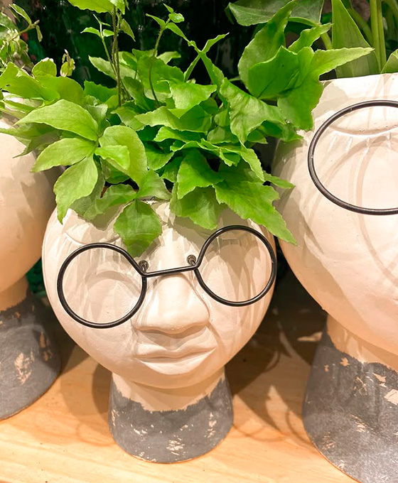 Comprar Plantas en Calahorra
