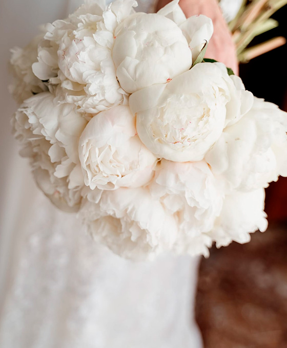 Ramo de Flores Blancas para Novia