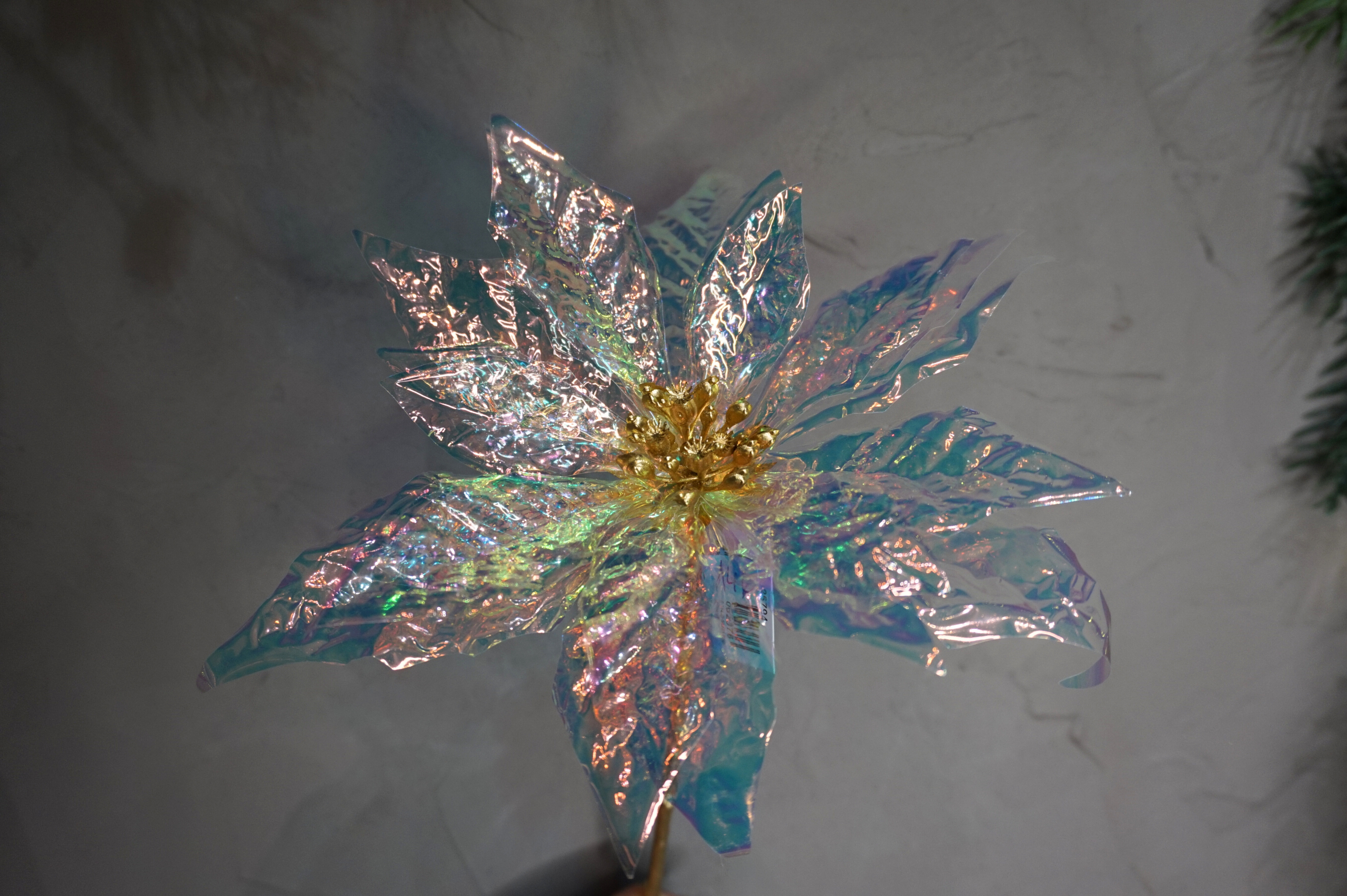 Decoración - Flor de Pascua iridiscente