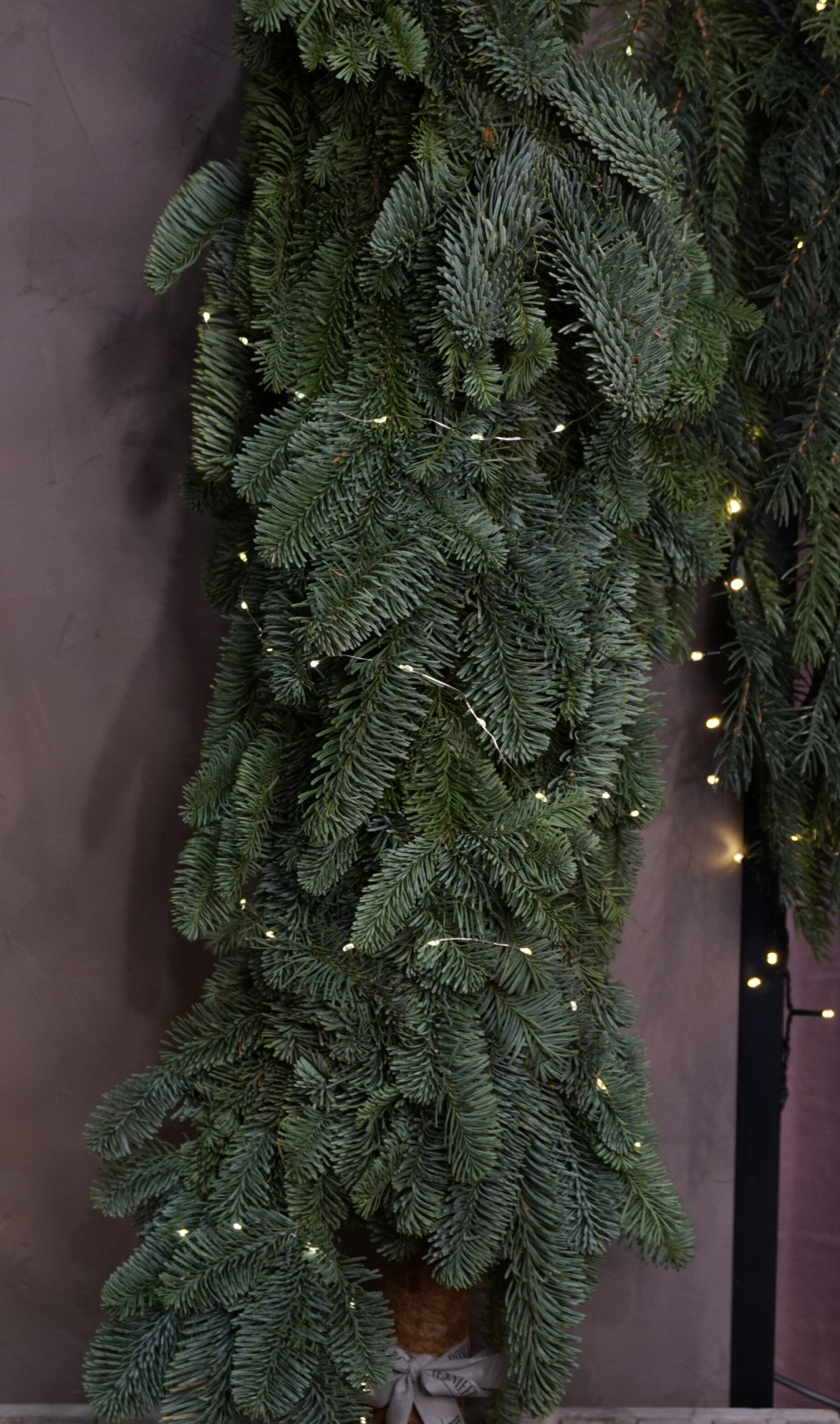 Decoración navideña - Pino natural azul con luces - Imagen 2